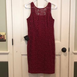 Gorgeous White House Black Market lace dress.